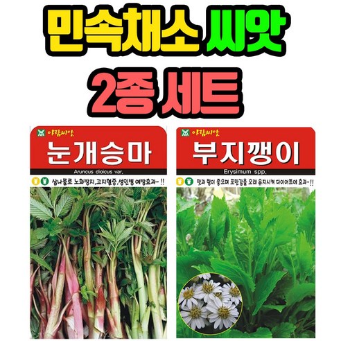 민속채소 씨앗 2봉 (눈개승마+부지깽이) 종자 씨, 1세트