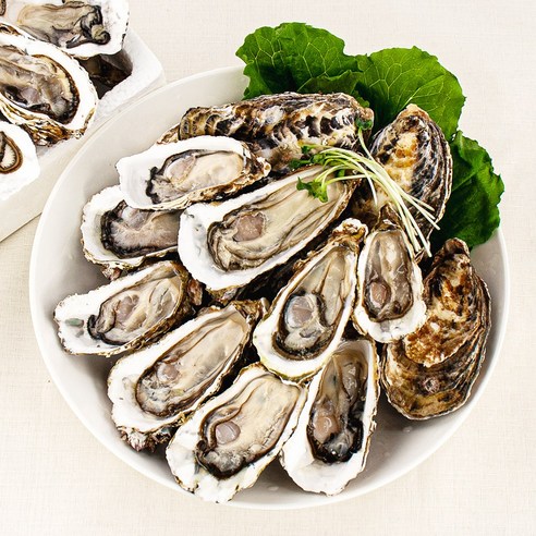 신선한 바다의 맛, 삼삼해물 산지직송 하프셀