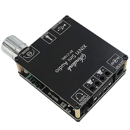 XY-C100L HIFI 100WX2 블루투스 5.0 고전력 디지털 스테레오 앰프 보드 AUX USB AMP Amplificador 홈 시어터, 보여진 바와 같이, 하나
