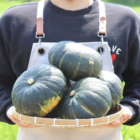 농산물마루 단호박