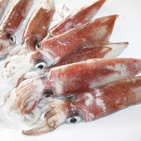 고씨네 제주산 숙회용 한치(중소) 700g(5~6미), 1마리 제주도한치 고씨네 제주산 숙회용 한치(중소) 700g(5~6미), 1마리 제주도한치