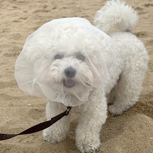 사랑하는 반려견을 위한 완벽한 솔루션, 멍마스크 메쉬 얼굴망! 강아지페이스커버