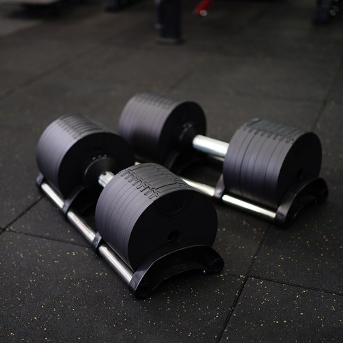 운동을 위한 완벽한 동반자