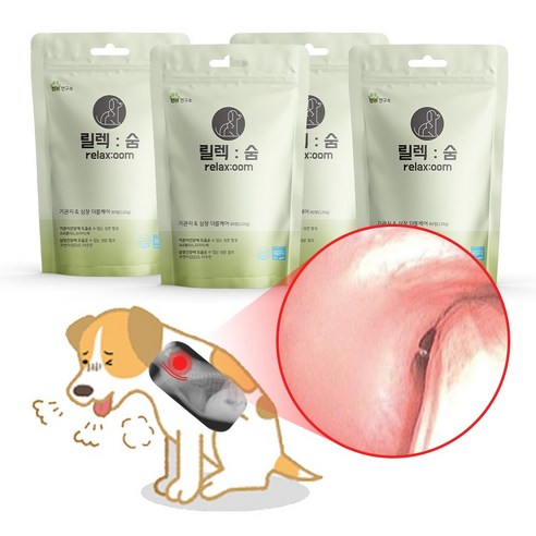 릴렉숨 강아지 기관지 협착증 호흡기 관리, 4개