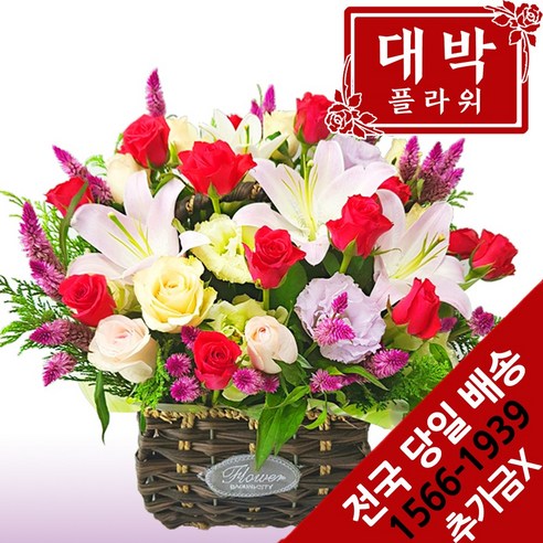 대박플라워 특별하게 꽃바구니 생일선물 기념일 출산꽃선물 병문안 꽃배달 전국꽃배달서비스