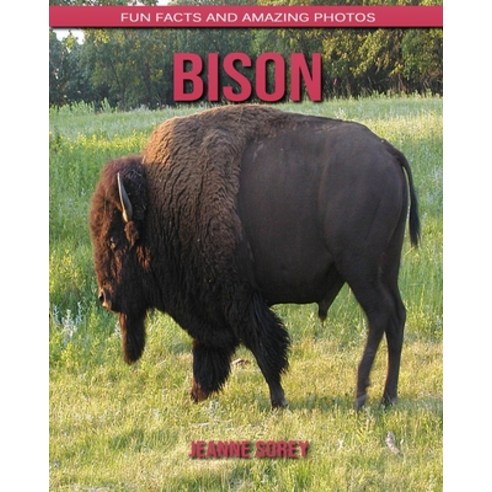 Bison: Fun Facts and Amazing Photos Paperback, Independently Published