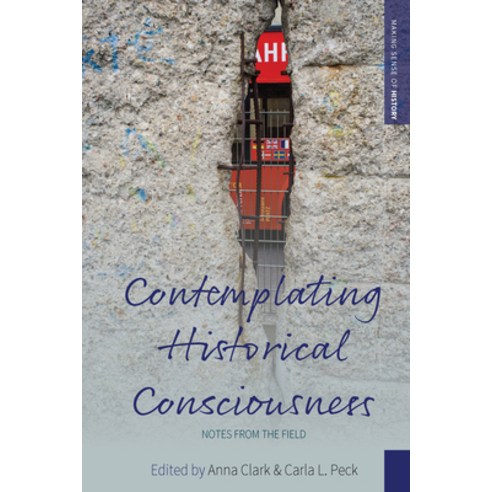 Contemplating Historical Consciousness: Notes from the Field Paperback, Berghahn Books, English, 9781789208375