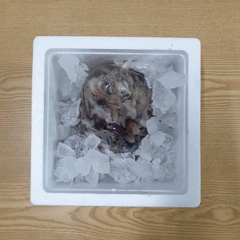 신선도와 품질이 보장된 여수 새조개