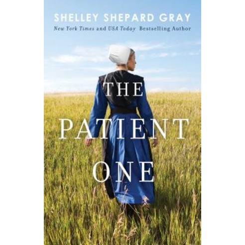(영문도서) The Patient One 1 Paperback, Gallery Books, English, 9781982100872