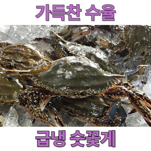 신속발송 산지직송 국내산 제철 꽃게, 1개, 암꽃게 급냉 1kg