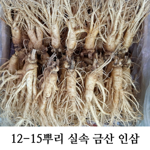 실속형 가정용5년근 인삼 12-15뿌리 (오쿠용 홍삼용 실속인삼), 가정용난발삼750g (12-15뿌리), 1개