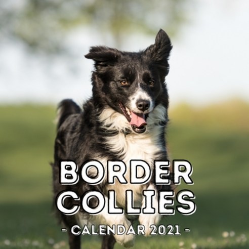 Border Collies: 2021 Wall Calendar Cute Gift Idea For Border Collies Lovers Or Owners Men And Women Paperback, Independently Published, English, 9798577912079