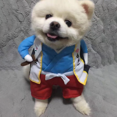 인텔리펫 고양이 옷 강아지 코스튬 코스프레, 무사