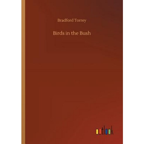 (영문도서) Birds in the Bush Paperback, Outlook Verlag, English, 9783732633128