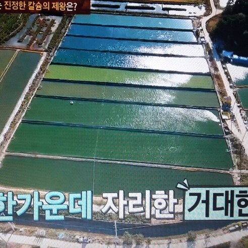 싱싱한 미꾸라지로 끓이는 건강하고 맛있는 추어탕