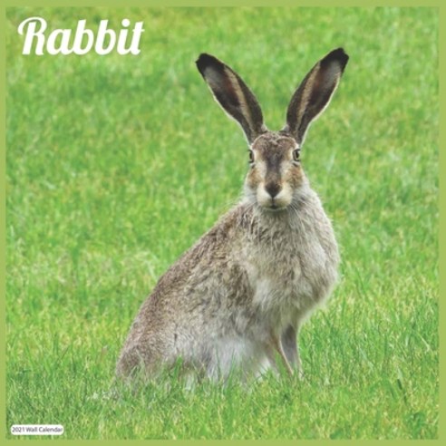 Rabbit 2021 Wall Calendar: Official Bunnies Wall Calendar 2021 Paperback, Independently Published, English, 9798575840589