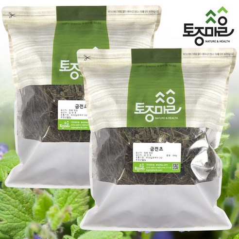 토종마을 국산 금전초(긴병꽃풀) 300g X 2개