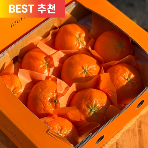 [러뷰팜] 제주 Premium 레드 고당도 가정용 선물용 1.5kg 2.5kg 4.5kg, 레드향 가정용 1kg 소과(7-8과 내외)