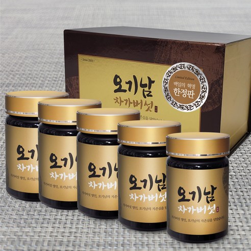 오기남 백일의혁명 차가버섯추출분말 500g, 100g, 5개