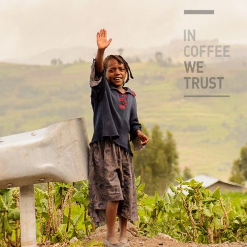 파나마 게이샤의 원종, 에티오피아의 희귀 보물