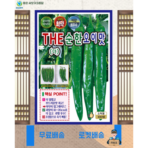 풋고추씨 THE 순한 오이맛 고추 씨앗 (100립) 오이고추 풋고추 종묘 종자 씨 영웅, 1개