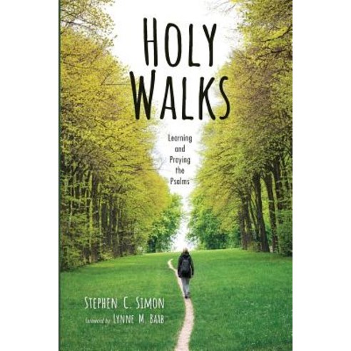 Holy Walks Paperback, Wipf & Stock Publishers