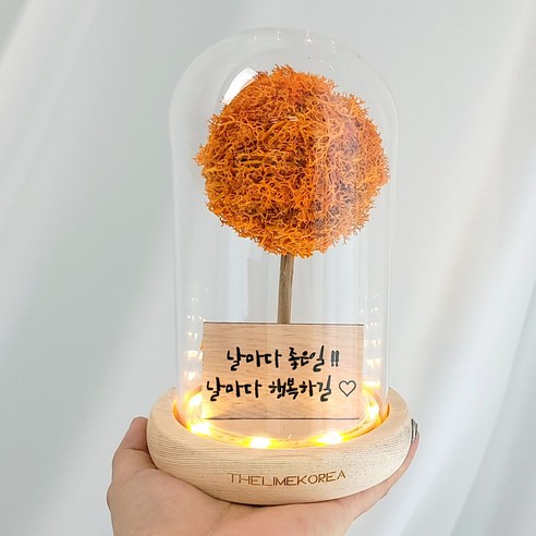 [오케이나우ㅣ강추] 독특하고 감성적인 기념품: 더라임코리아 LED 메시지 각인 스칸디아모스 유리돔 무드등 [OKNOWㅣ추천상품]