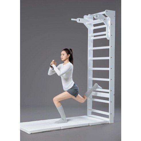 에스이스타 슈바 운동기구 홈트 필라테스 스탠드슈바, 1개, 1kg