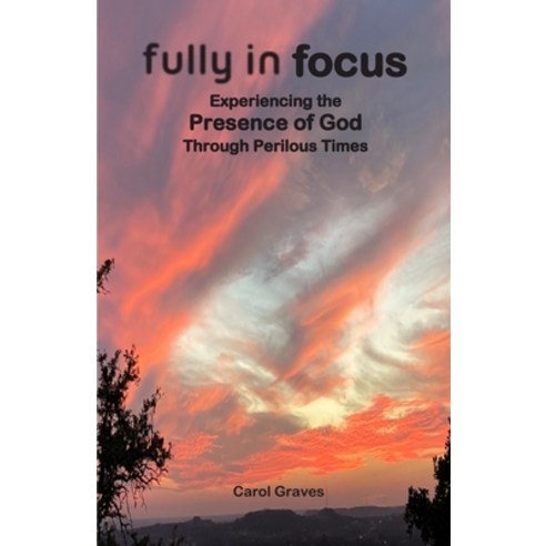 (영문도서) Fully in Focus: Experiencing the Presence of God Through Perilous Times Paperback, Fully in Focus, English, 9780983084792