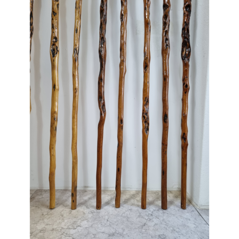 걷는 즐거움을 되찾아줄, 자연을 담은 특별한 지팡이