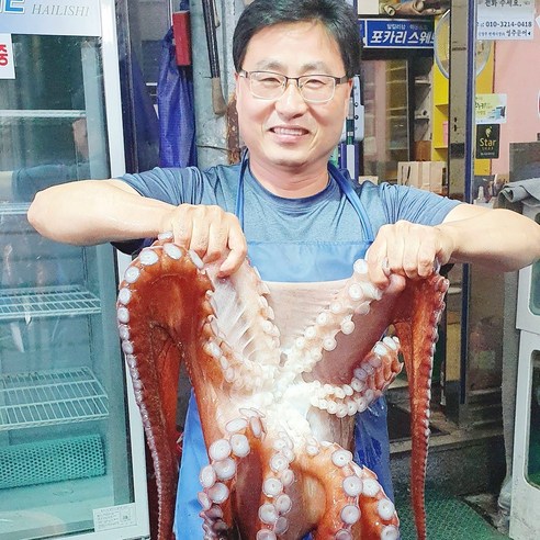 백두대간농수산 경북 영주 자숙 통 문어 1 2 3 kg 동해 참문어 선물용 제수용 안주짝다리, 2kg(선물제수용), 1개