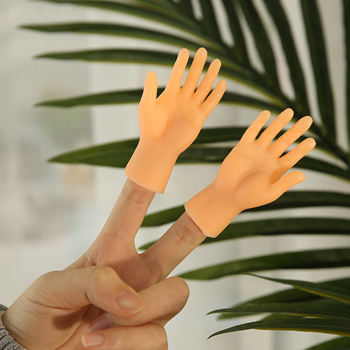 고양이 편안함과 즐거움을 위한 필수품