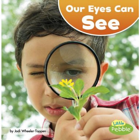 Our Eyes Can See Hardcover, Capstone Press