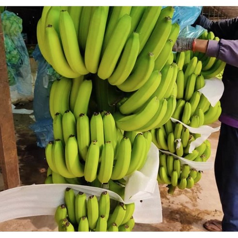 건강한 맛, 경제적인 선택