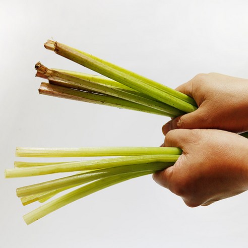 자연산 머위대: 건강과 맛의 바삭한 축제