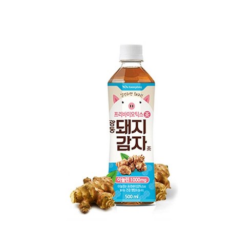 광동 돼지감자차, 500ml, 6개