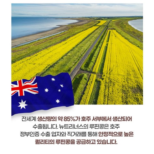 건강의 슈퍼푸드: 루핀콩의 놀라운 이점