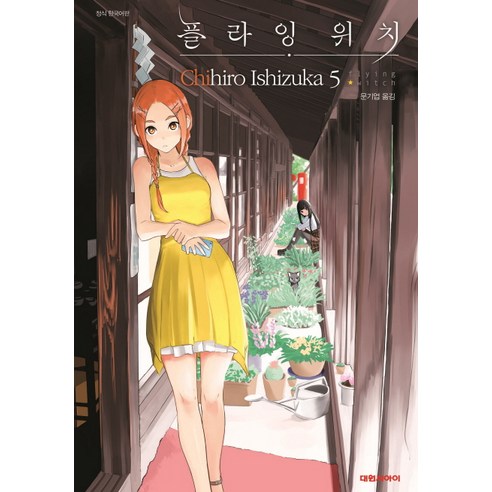 플라잉 위치. 5, 대원씨아이