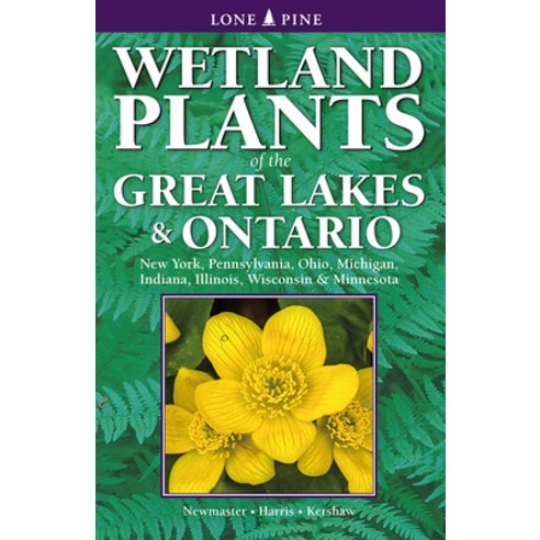 (영문도서) Wetland Plants of the Great Lakes and Ontario Paperback, Lone Pine Publishing, English, 9781774511985
