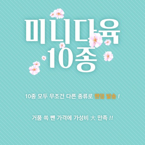 미니다육이 10개 중복없이, 정원과 실내에 활력을 더하세요.
