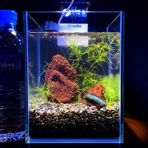 "나만의 작은 정원": 무환수 자동청소 베타 어항으로 삶의 여유를 더하세요 원스팜