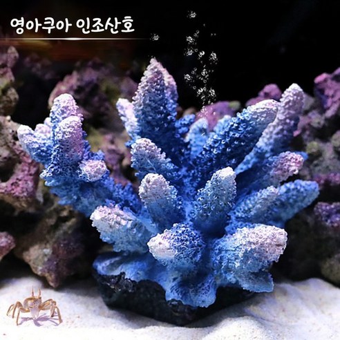 영아쿠아 인조산호, 파란 산호, 1개