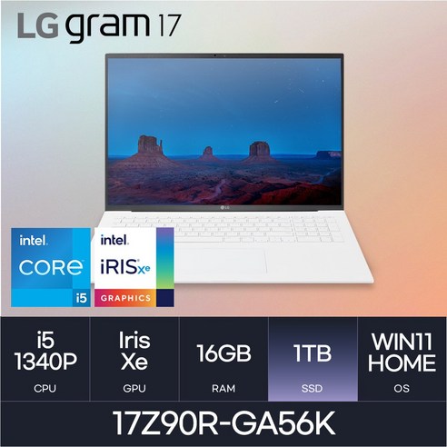 LG전자 2023 그램17 17Z90R-GA56K, 스노우 화이트, 코어i5, 1TB, 16GB, WIN11 Home