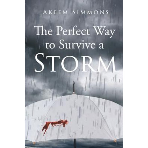 (영문도서) The Perfect Way to Survive a Storm Paperback, Page Publishing, Inc., English, 9781645443193