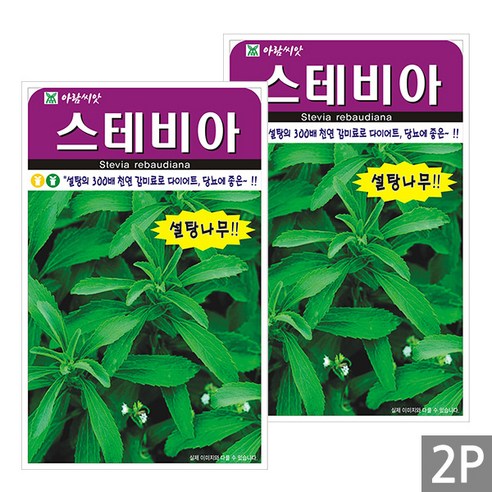 세인화분 스테비아 50립 - 국산 설탕나무 허브 꽃 씨 씨앗, 2개