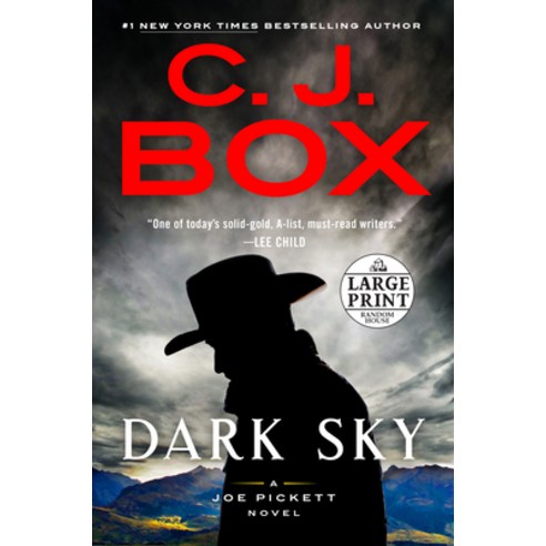 Dark Sky Paperback, Random House Large Print Publishing