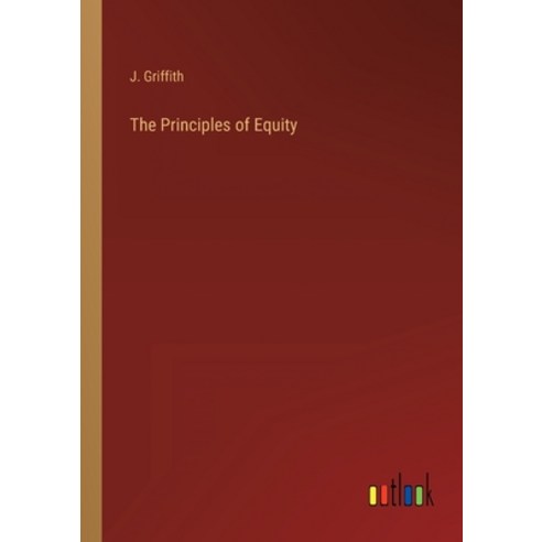 (영문도서) The Principles of Equity Paperback, Outlook Verlag, English, 9783368156183