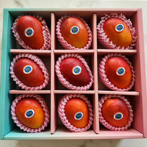 최상의 맛과 선물에 적합한 망고성지의 항공직송 애플망고