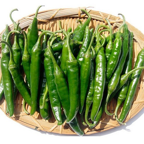 빛고을장터 청양고추 500g - 5kg내외, 1box, 청양고추 2kg내외