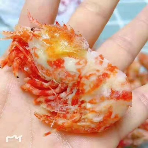 자연산 특 A급 러시아 닭새우: 미식가를 위한 진정한 진미